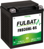 Gelová baterie FULBAT FHD30HL-BS GEL (Harley.D) (YHD30HL-BS GEL)